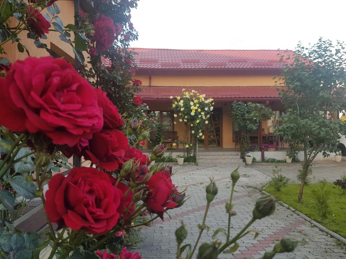 Mill House Villa Клуж-Напока Екстериор снимка